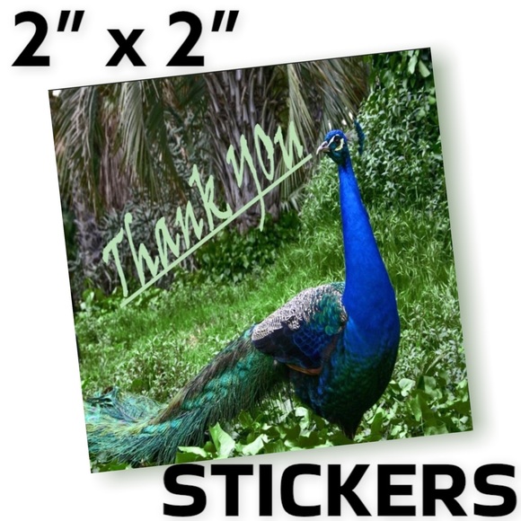 Mailers And More Other - 100 (2x2 Inch) Peacock, Square Stickers, Full Color, High Gloss, Thank You